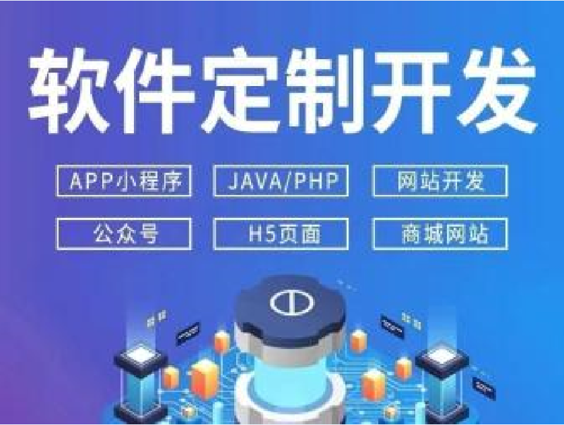 技术解决方案：构建高效定制化系统